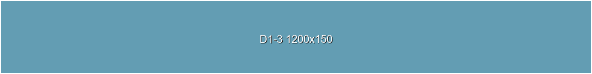 D1 轮播3